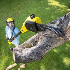 Best Lawn Watering Services  in St Augustine Beach, FL